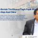 Pemerintah Bentuk Tim Khusus Tagih Pajak 40 Perusahaan Baja Asal China