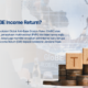 Apa Itu GloBE Income Return?